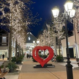 Meet your Posher, Joy